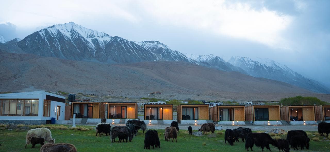 Saser Scenic Pangong